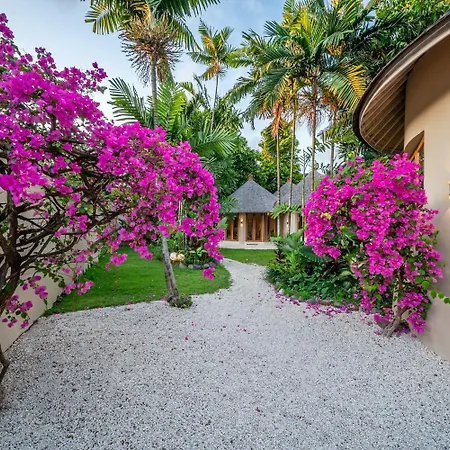 Villa Meraki, 6Br, Incl Breakfast, Heart Of Seminyak, Walking Distance To Restaurants, Bars And Shops, Tropical Garden Exterior photo